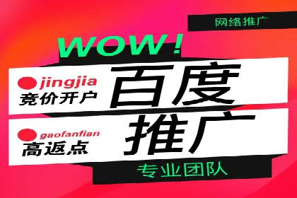 搜索引擎营销（SEM）的精准投放技巧案例